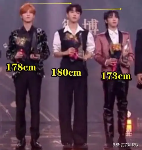 是怎么都没有办法否认的,难道真的是王俊凯撒谎,在官网上谎报身高了吗