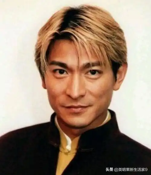 刘德华在大家心目中的形象(你心中的刘德华是什么样子)(6)