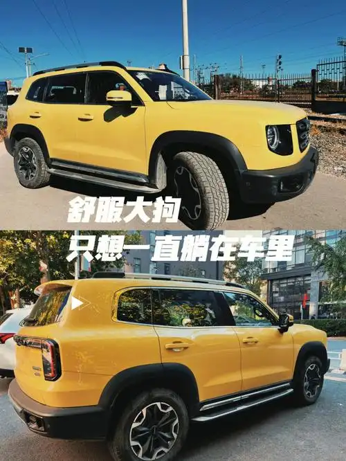 哈弗大狗成为酷girl的第一步73