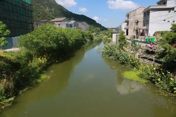 我的家乡--沙角村 - 脉脉