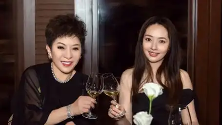 向太陈岚谈最好的婆媳关系:各过各的,但要尊重婆婆