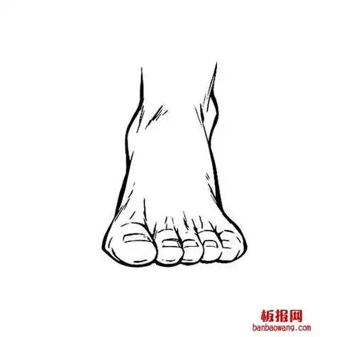 脚丫子简笔画 脚丫子简笔画图片大全大图彩色