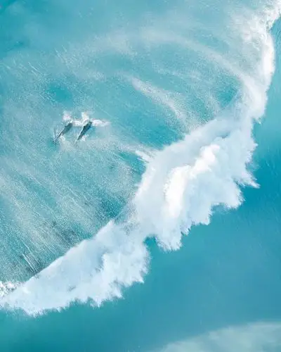 蓝色自由之海摄影师insjaxonroberts