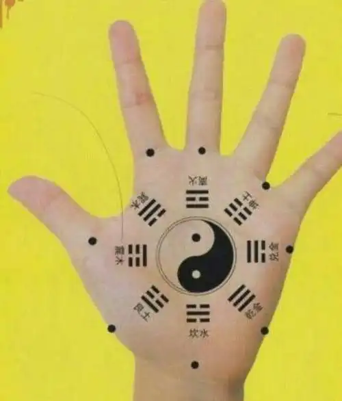 手掌八卦图的巽卦