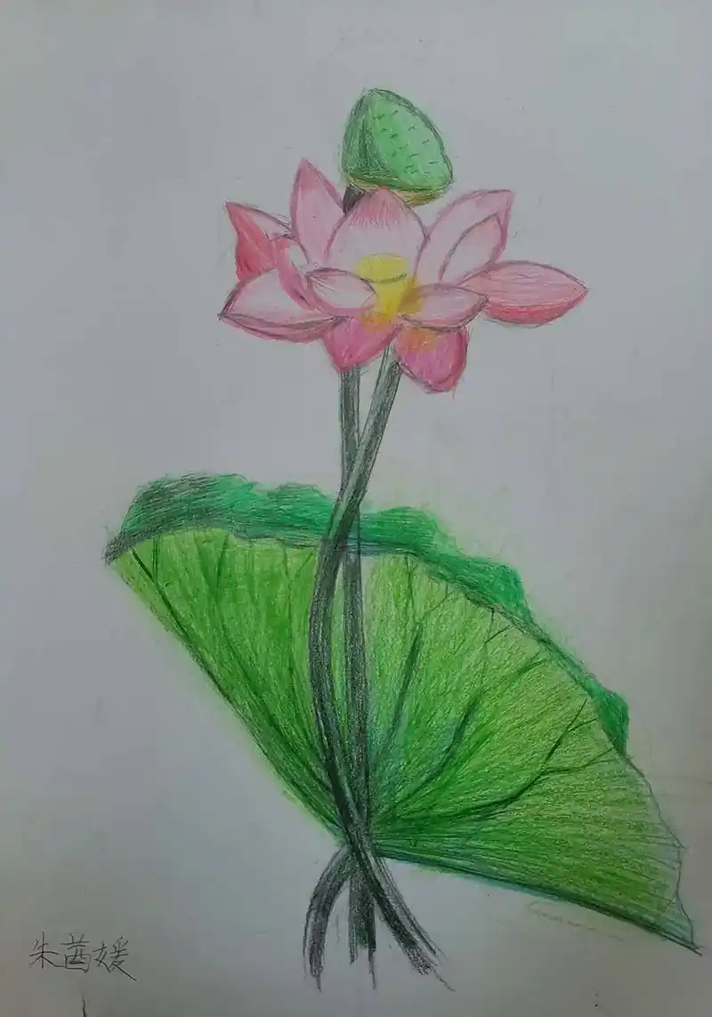 彩铅画入门作业.#美术 #素描基础 #一起学画画 #建筑 # - 抖音