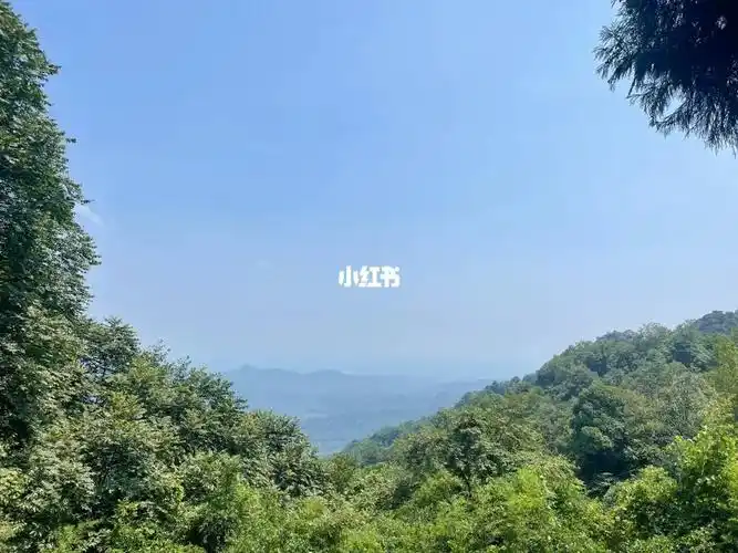 青城山最高点了