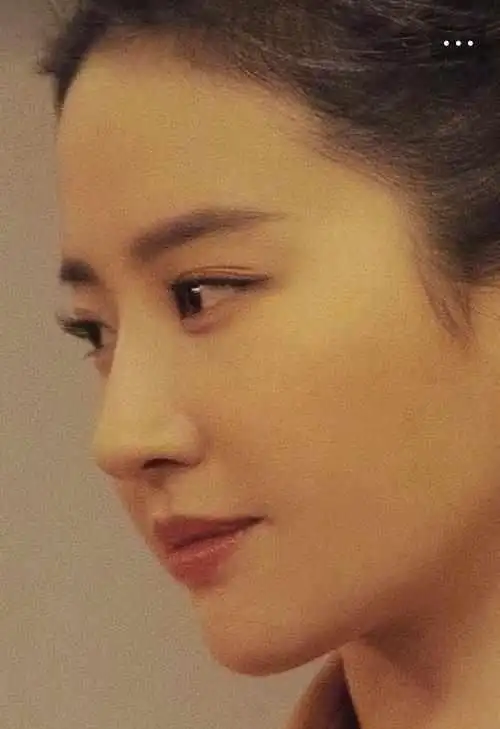 五位拥有高鼻梁的女星直到董洁出现后堪称人偶般的鼻梁