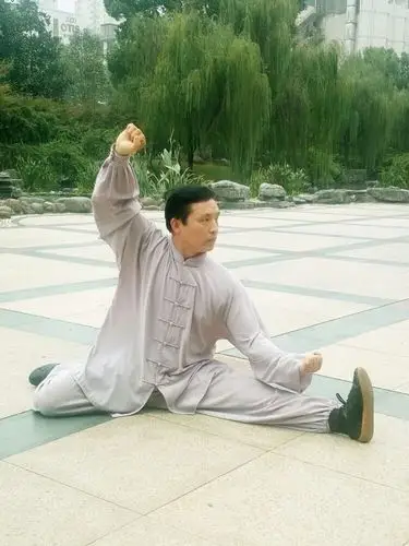 陈氏太极拳56式动作精选 ——胡万安