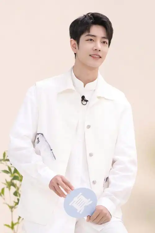 肖战(sean xiao),1991年10月5日出生于重庆市,华语影视男演员,歌手