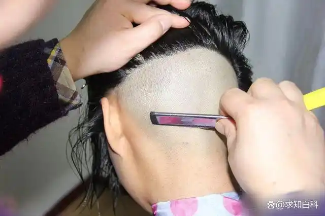 去应聘做短发发型模特,结果却被理发师将后脑勺的头发全部剃光的视频