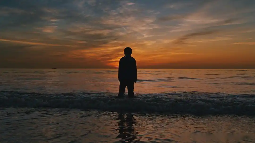 第二届海南岛国际电影节"万象中国"展映单元之当代甄选子单元影片