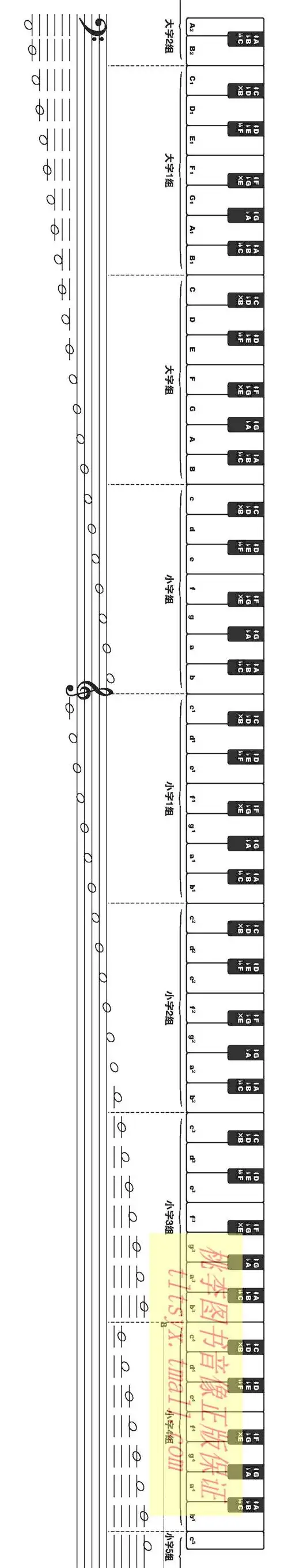 88键标准尺寸钢琴键盘纸1比1钢琴指法练习纸五线谱键盘挂图儿童初学