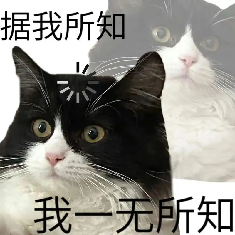 趣味表情包 #斗图 #表情 - 抖音