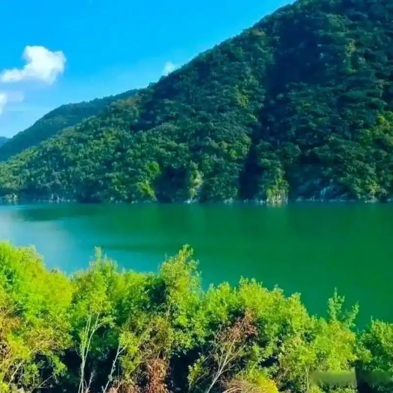 青山绿水是自然界最美丽的风景之一,它们代表着生命的活力和生机.