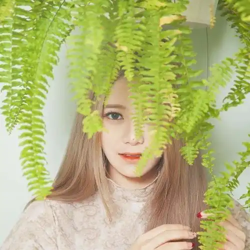 微商气质美女头像_微信头像图片大全