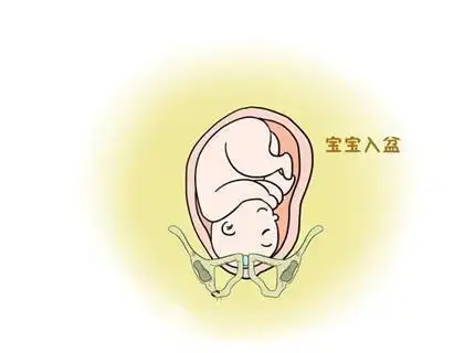 胎儿入盆6大症状, 早知道早准备!