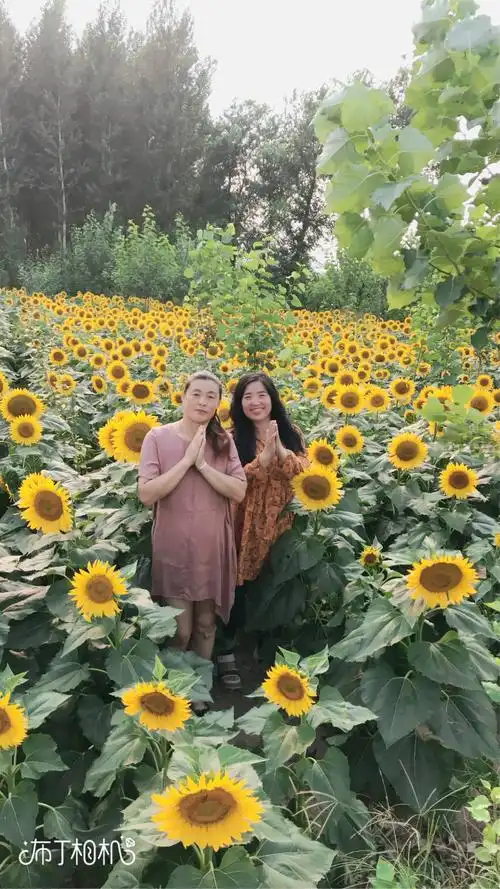 拍几张照片,留下美好的回忆