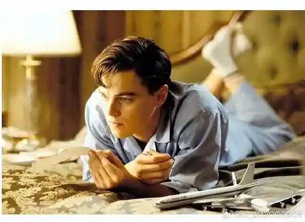 新晋奥斯卡影帝莱昂纳多主演电影大全(26部)