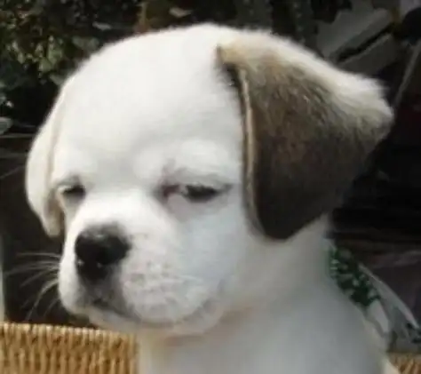 超级逗比搞笑图片