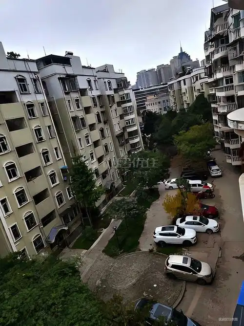 乐街小区樱花园