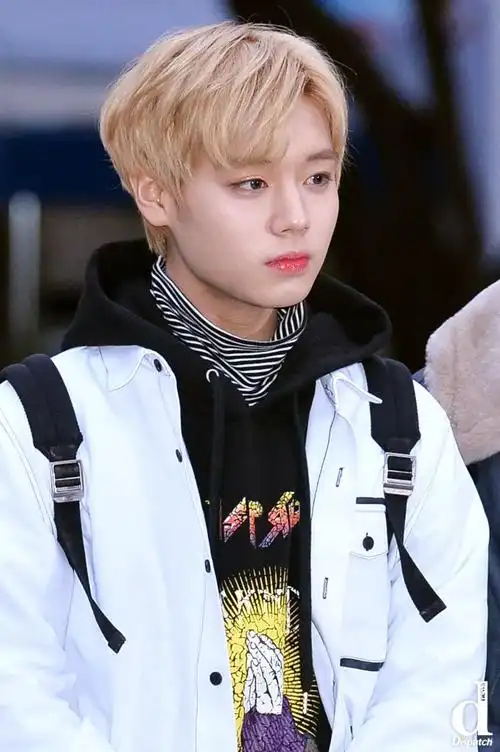 d 韩娱|"混血儿?是韩国人啊!".男爱豆的异国风情视觉