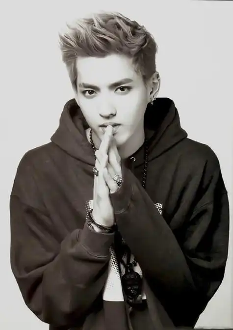 吴亦凡个人资料: 吴亦凡(kris),1990年11月6日出生于广东省广州市