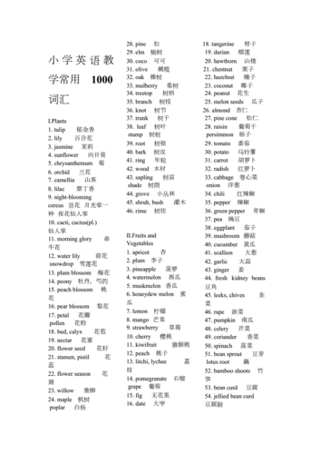 小学英语教学常用1000词汇doc18页