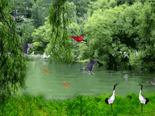 转载唯美风景动态图片