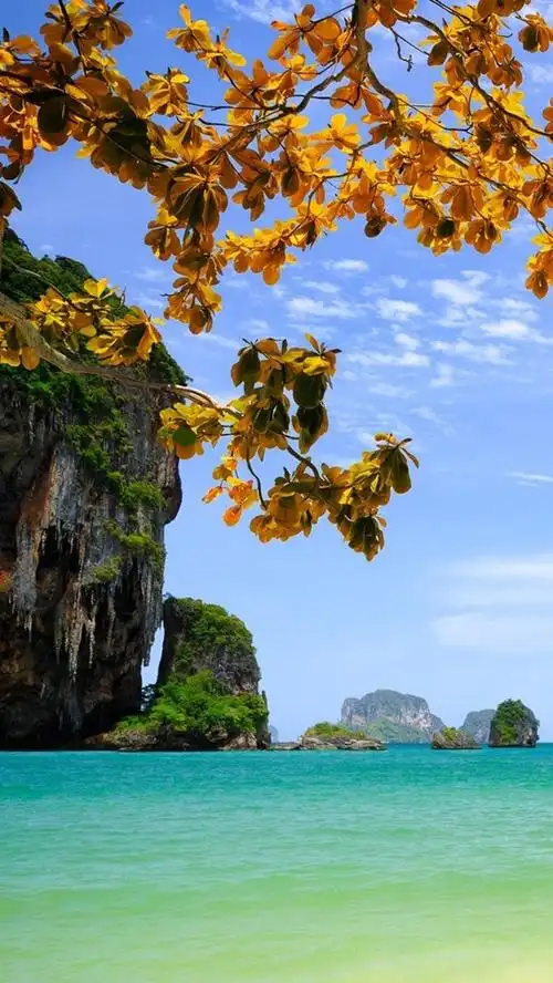 640_1136竖版 竖屏