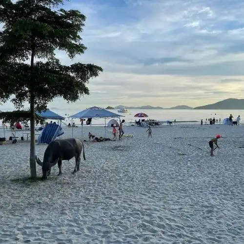 tvb小生黎诺懿陪儿子在沙滩开心玩耍 孕妻坐在茶餐厅享受美食