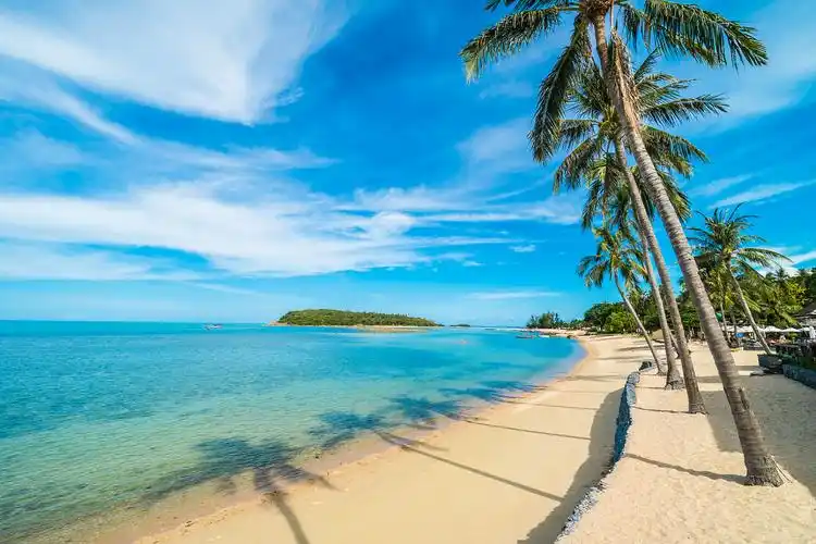 唯美夏天立夏蓝天白云大海沙滩插画海报背景夏天立夏海上冲浪蓝天白云