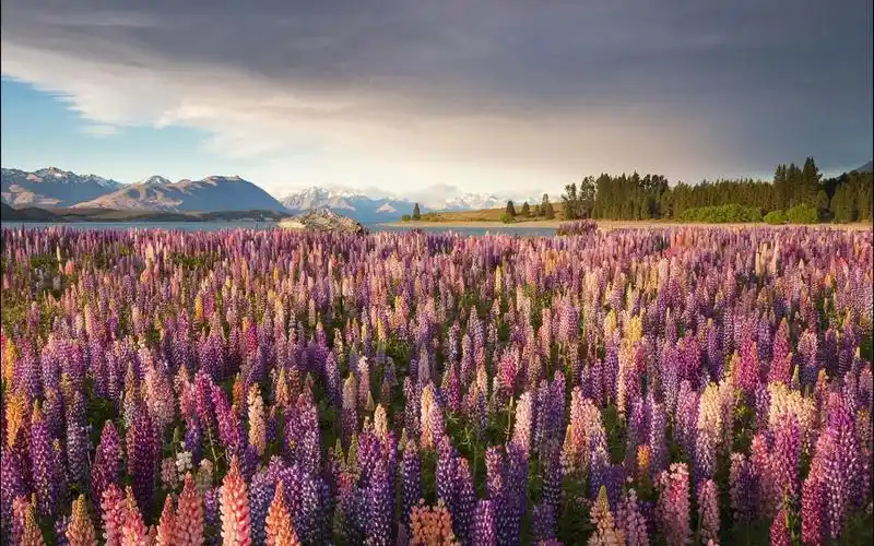 世界各地高清风景壁纸分享 - 第十一期
