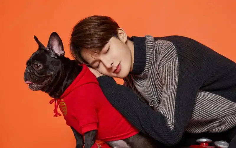 69  电脑壁纸 69  明星 69  朱正廷时尚帅气个人写真高清原图