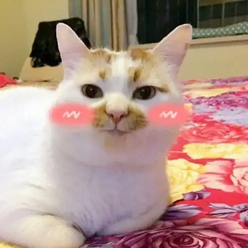 女生专用可爱搞笑聊天表情包