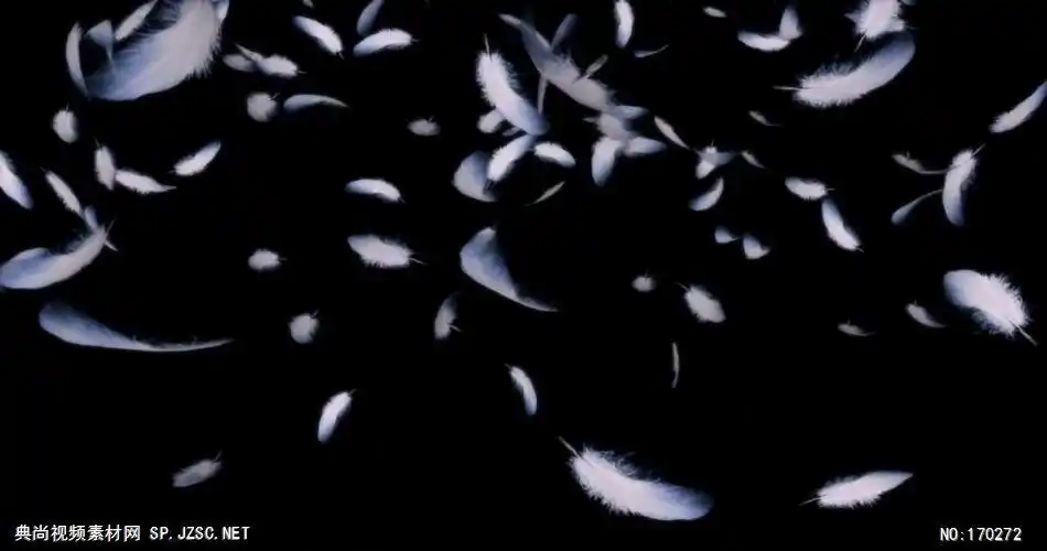 羽毛飘落浪漫款羽毛飞舞飘落015 led视频素材库视频素材 动感背景