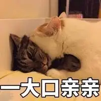 情侣之间暧昧表情包