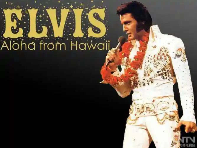 特琪拉的相册爱我所爱