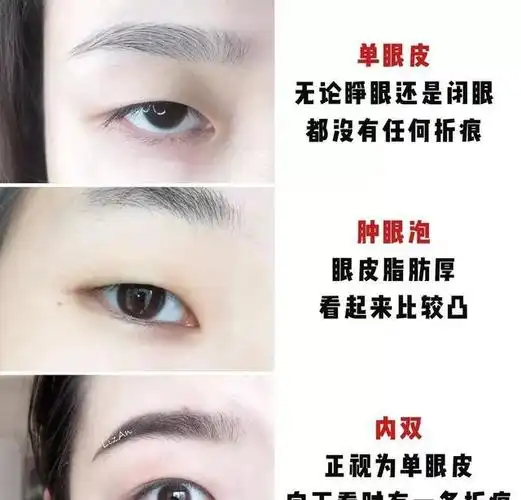 眼妆技巧汇总肿眼泡单眼皮内双这里统统都有