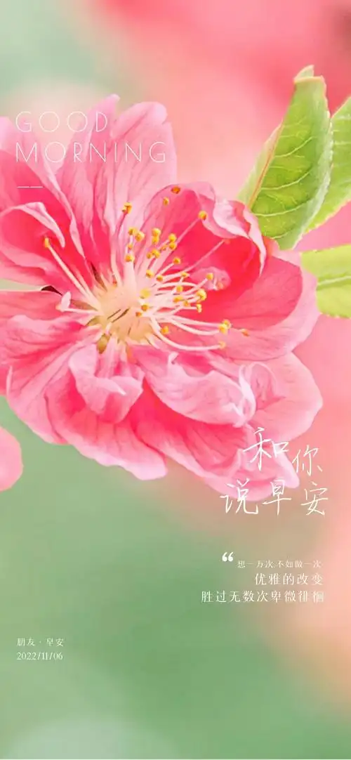 早安心语文案图片正能量:有梦想才有远方,每天都要努力向前