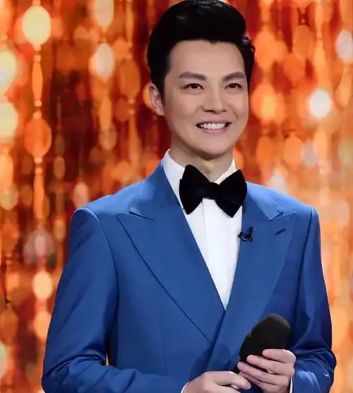 央视四大最帅男主持人,颜值才华兼备,你最喜欢哪一个?