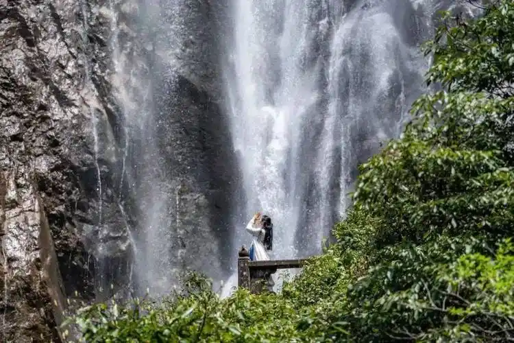 瀑布涛声不绝看遍万顷竹海在这里,为青春留下最美的色彩登山畅游明月