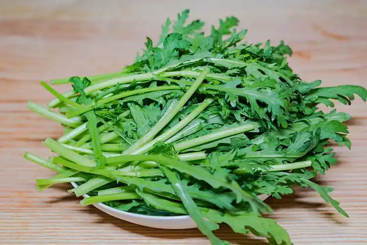 新鲜蔬菜茼蒿图片_新鲜蔬菜茼蒿高清图片_全景视觉