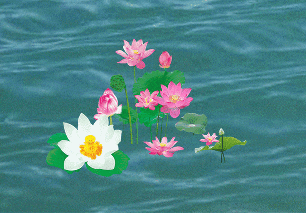 映日荷花别样红