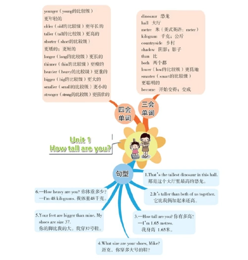 六年级英语下册unit1howtallareyou思维导图人教pep版