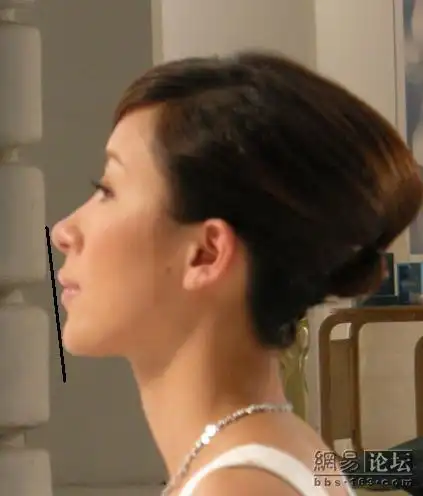 扒一扒下巴后缩尖嘴猴腮的大明星(纯侧面多图现形记) - 索野仁和 - 华