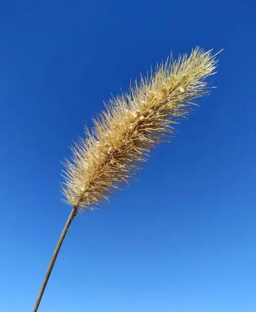 干净走心的文艺句子,意境绝美,醉人醉心!