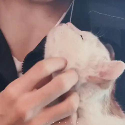 "只有肖战粉丝能看懂"的不明显头像系列2.0#肖战