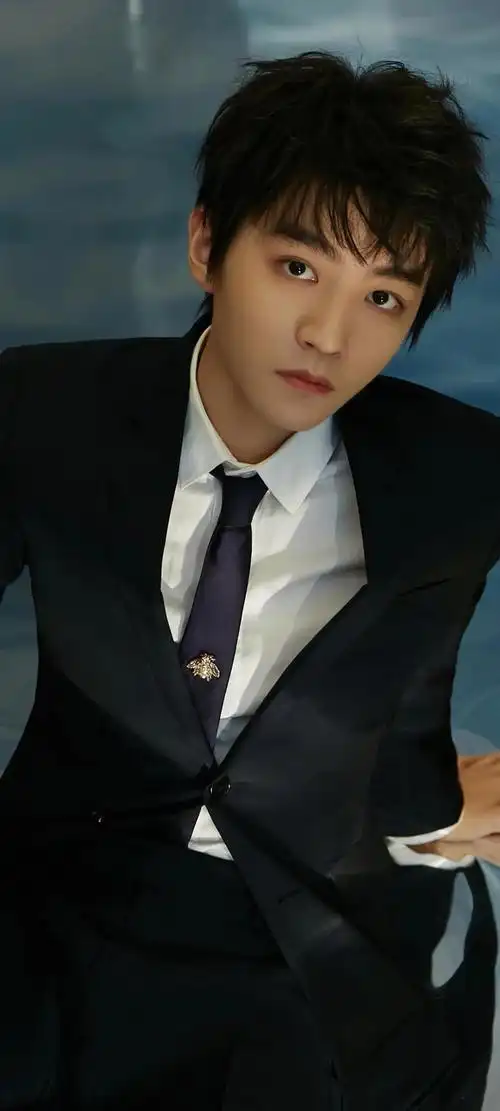 俊朗男星王俊凯个人简介