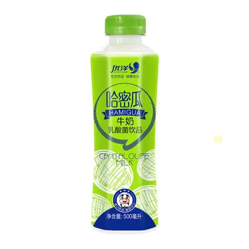 优洋哈密瓜味牛奶乳酸菌饮品500ml*15瓶整箱