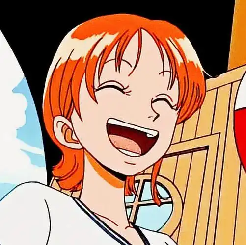 娜美自截头像开怀大笑的航海士